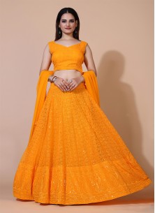 Dust-Orange Lucknowi Chikankari Work Stitched Lehenga Choli